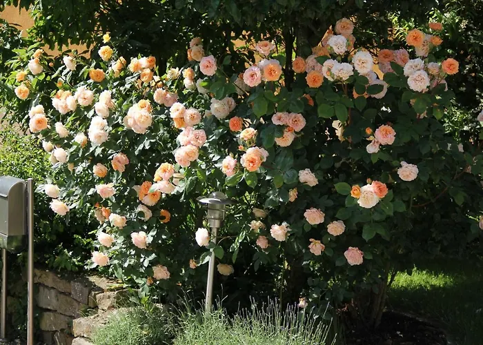 Am Rosengarten Ebermannstadt